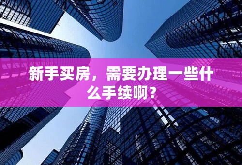 新手买房，需要办理一些什么手续啊？