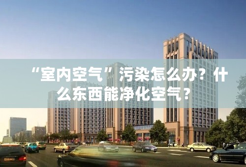 “室内空气”污染怎么办？什么东西能净化空气？