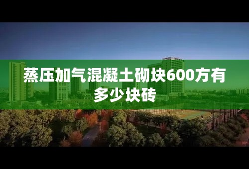 蒸压加气混凝土砌块600方有多少块砖