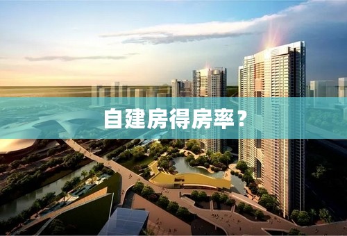 自建房得房率？