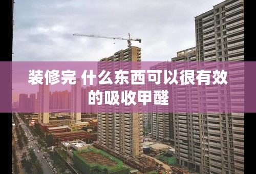 装修完 什么东西可以很有效的吸收甲醛