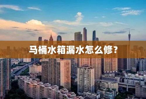 马桶水箱漏水怎么修？