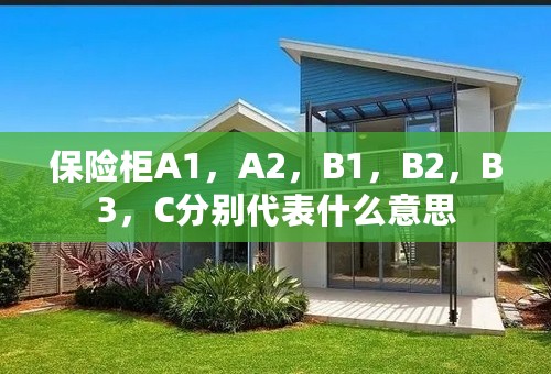 保险柜A1，A2，B1，B2，B3，C分别代表什么意思