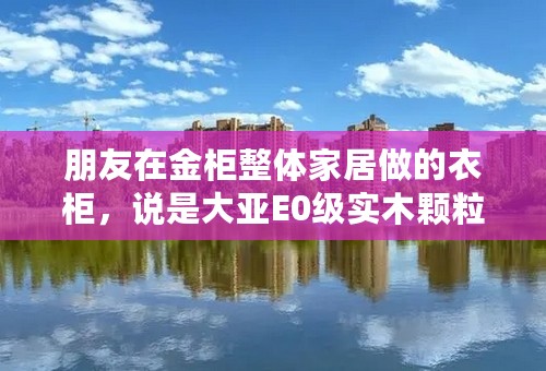 朋友在金柜整体家居做的衣柜，说是大亚E0级实木颗粒板，想问大家大亚实木颗粒板怎么样？