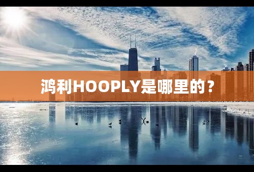 鸿利HOOPLY是哪里的？