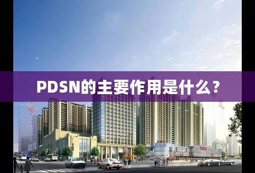 PDSN的主要作用是什么？