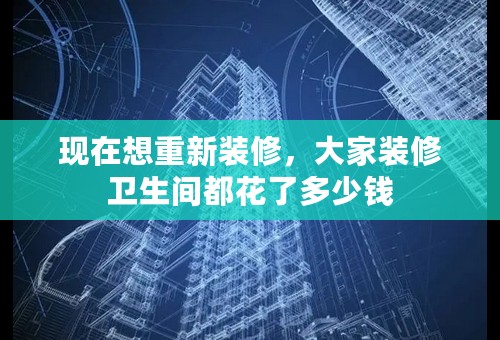 现在想重新装修，大家装修卫生间都花了多少钱