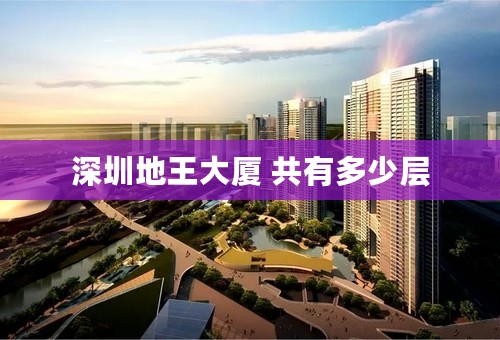 深圳地王大厦 共有多少层