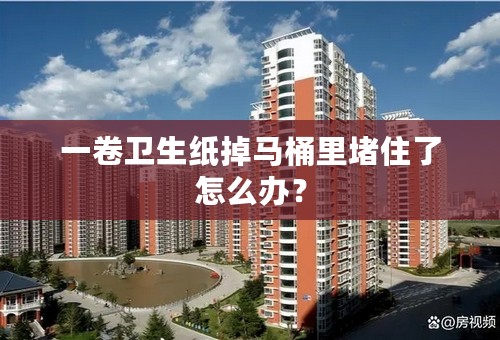 一卷卫生纸掉马桶里堵住了怎么办？