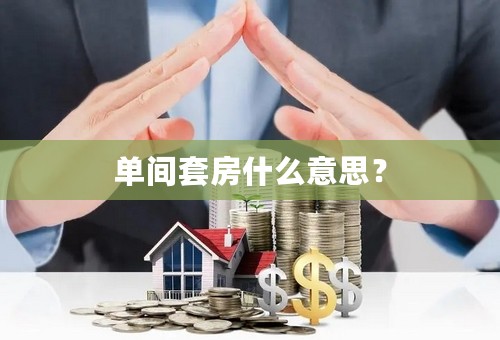 单间套房什么意思？