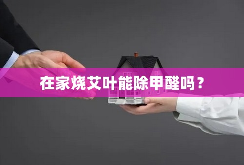 在家烧艾叶能除甲醛吗？