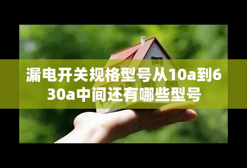 漏电开关规格型号从10a到630a中间还有哪些型号