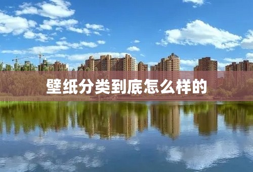 壁纸分类到底怎么样的