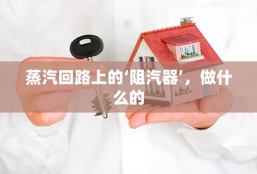 蒸汽回路上的‘阻汽器’，做什么的