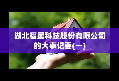 湖北福星科技股份有限公司的大事记要(一)