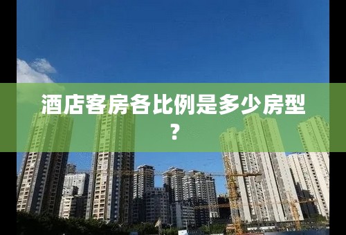 酒店客房各比例是多少房型？