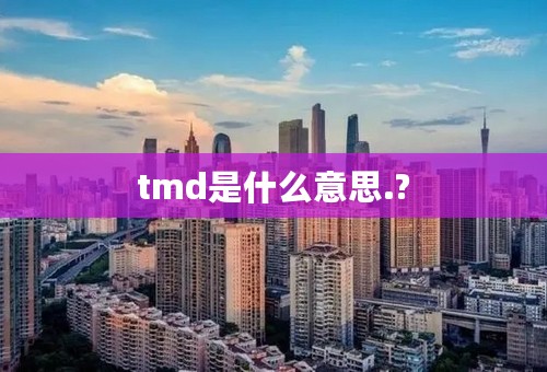 tmd是什么意思.?