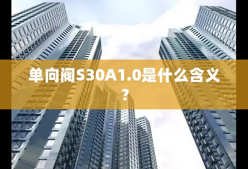 单向阀S30A1.0是什么含义？