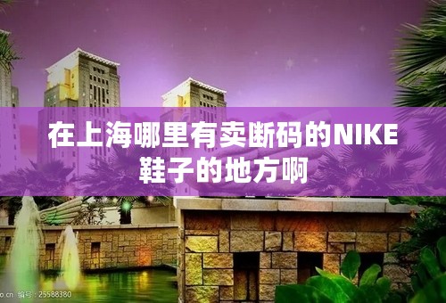 在上海哪里有卖断码的NIKE鞋子的地方啊