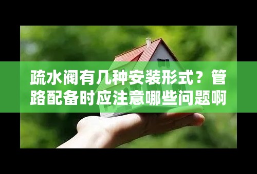 疏水阀有几种安装形式？管路配备时应注意哪些问题啊？