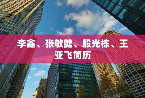 李鑫、张敏健、殷光栋、王亚飞简历