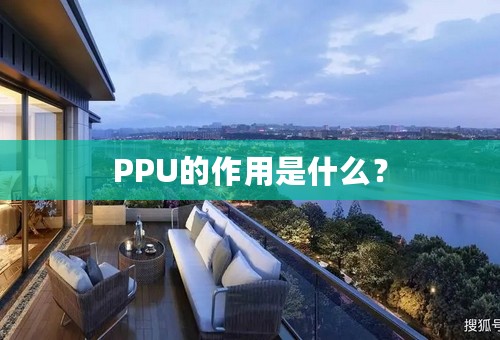 PPU的作用是什么？