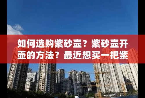 如何选购紫砂壶？紫砂壶开壶的方法？最近想买一把紫砂壶名家的壶玩玩。