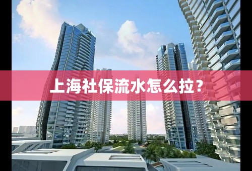 上海社保流水怎么拉？