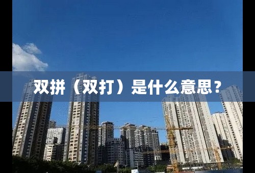 双拼（双打）是什么意思？