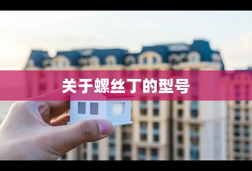 关于螺丝丁的型号