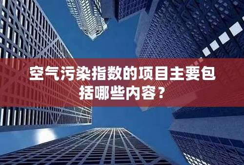 空气污染指数的项目主要包括哪些内容？