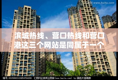 滨城热线、营口热线和营口港这三个网站是同属于一个公司的吗？