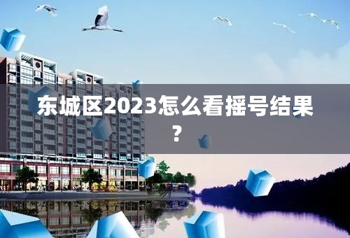 东城区2023怎么看摇号结果？