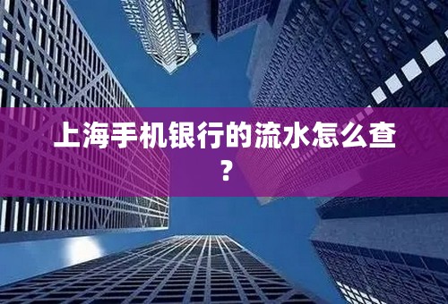 上海手机银行的流水怎么查？