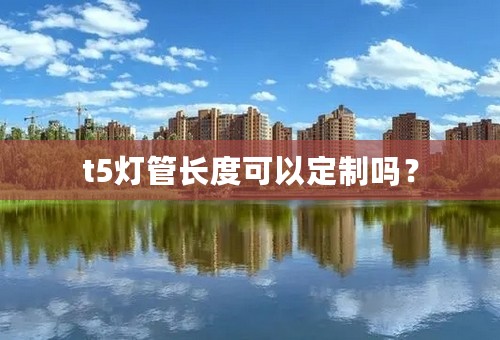 t5灯管长度可以定制吗？