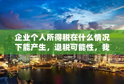 企业个人所得税在什么情况下能产生，退税可能性，我自己注册的小型公司，会计告诉我们缴纳的个人所得税按