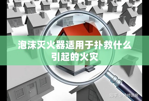 泡沫灭火器适用于扑救什么引起的火灾