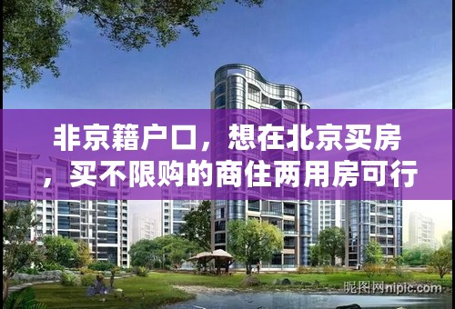 非京籍户口，想在北京买房，买不限购的商住两用房可行吗？