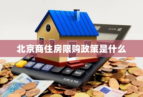 北京商住房限购政策是什么