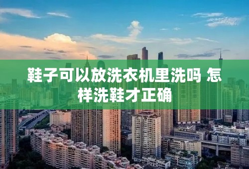 鞋子可以放洗衣机里洗吗 怎样洗鞋才正确