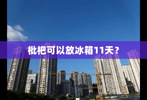 枇杷可以放冰箱11天？