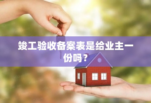 竣工验收备案表是给业主一份吗？