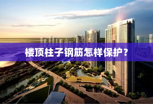 楼顶柱子钢筋怎样保护？