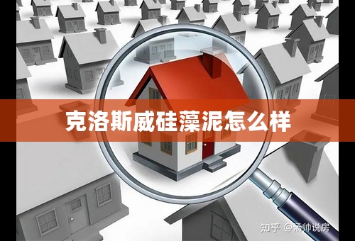 克洛斯威硅藻泥怎么样