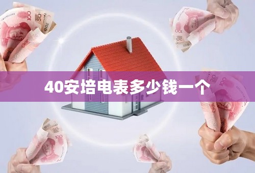 40安培电表多少钱一个