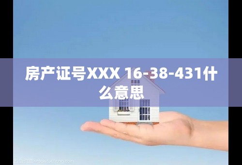 房产证号XXX 16-38-431什么意思