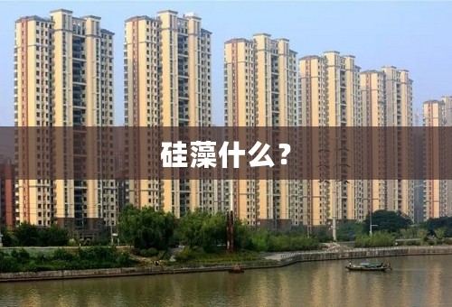 硅藻什么？