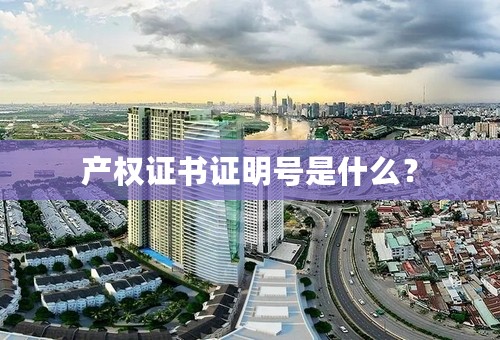 产权证书证明号是什么？