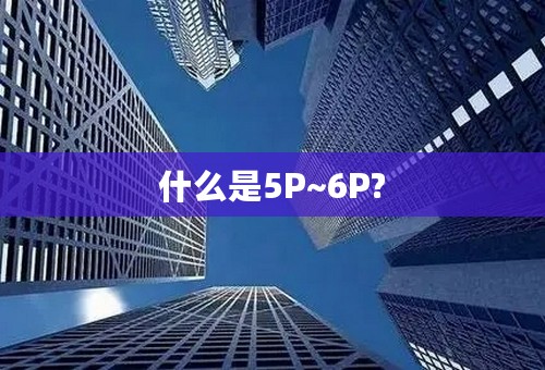 什么是5P~6P?