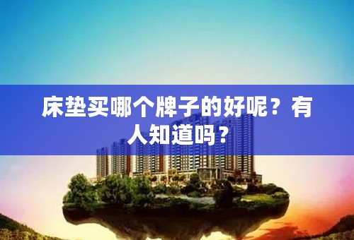 床垫买哪个牌子的好呢？有人知道吗？